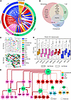 CCC analysis of periductal fibrotic niches in PSC.