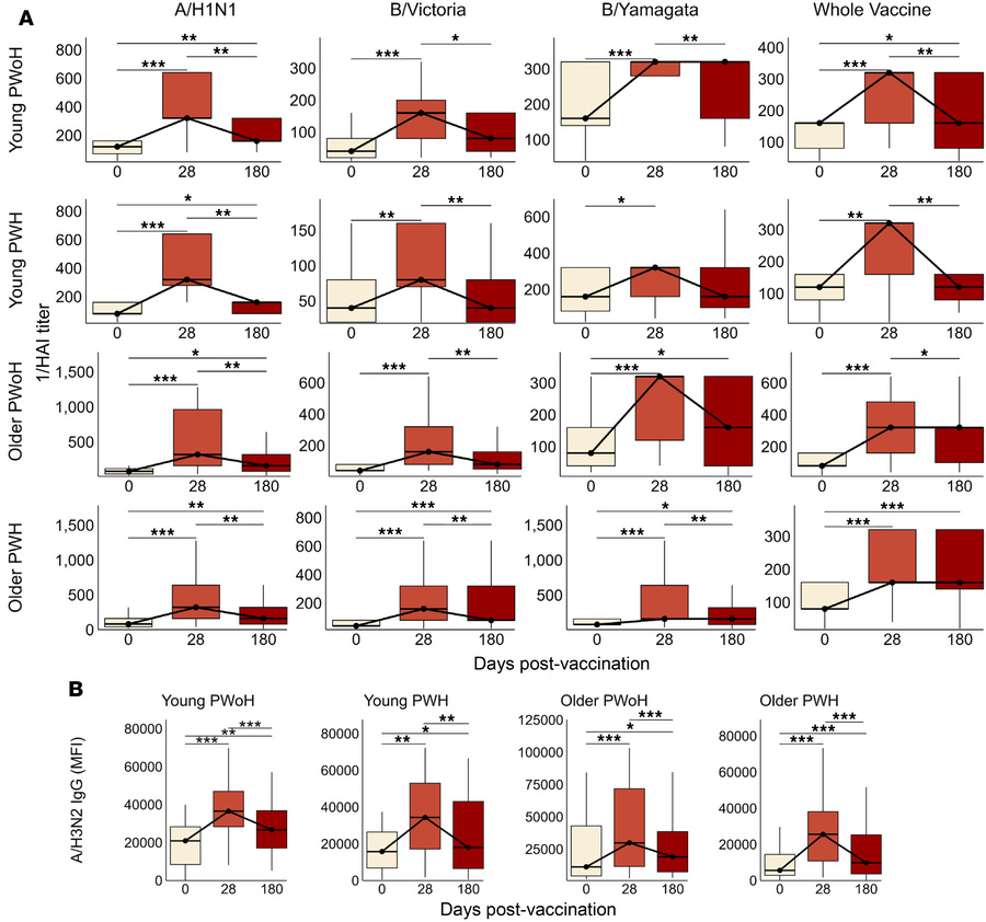 Seroprotective responses wane in the first 6 months after standard-dose ...