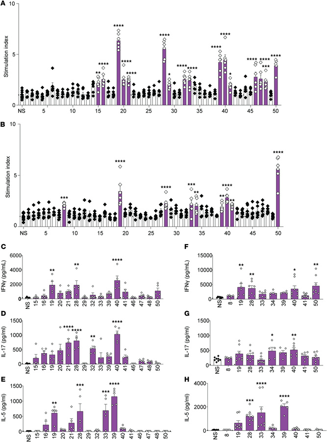 High-affinity peptides presented on I-Ab stimulate proliferation and cyt...