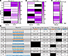 Immunoreactive peptides from Bp536 and H762 have similar abundance, predict