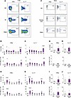 Antigen-specific CD4+ Trms are detected in the lungs and nose of Bp-challen