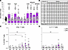 Immunogenic peptides stimulate proliferation and cytokine production of PBM