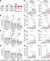 Prime-pull immunization with a subunit vaccine containing BP0205 and YiaO r