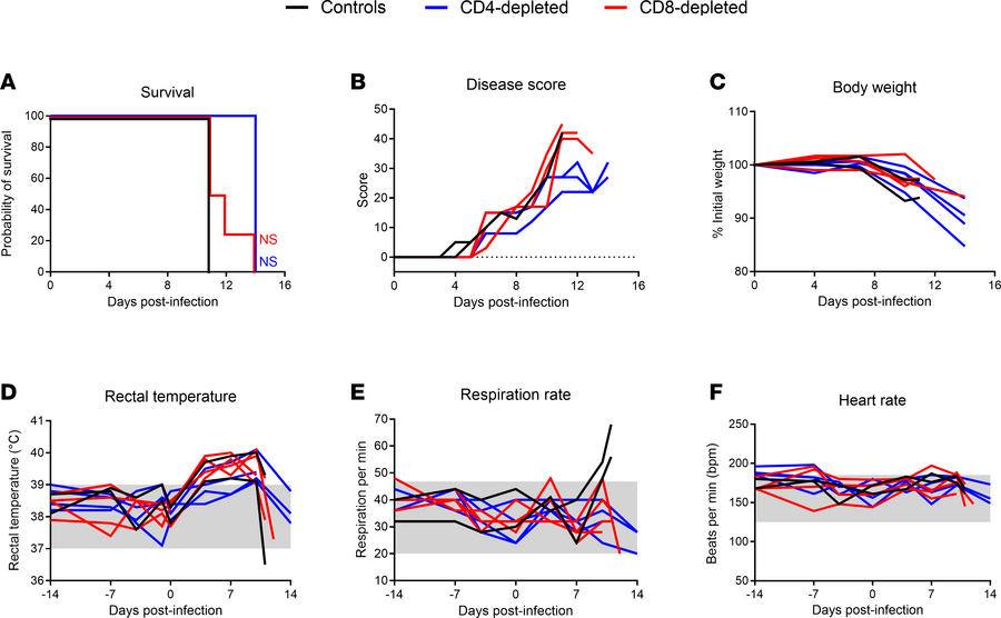 Disease progression of Lassa fever in T cell–depleted cynomolgus macaque...