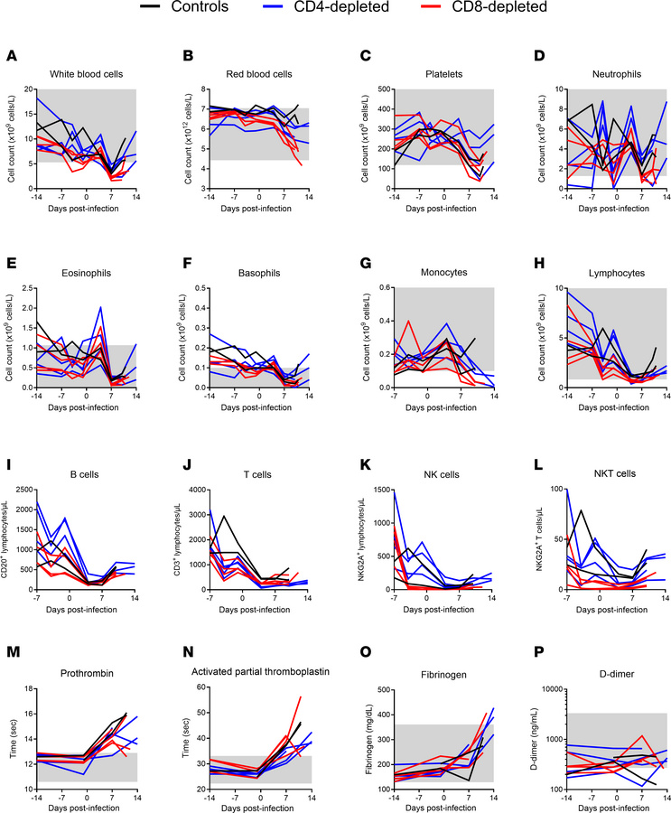 Hematological and coagulation parameters of T cell–depleted LASV-infecte...