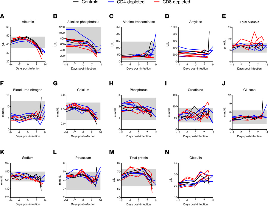 Blood biochemical parameters of T cell–depleted LASV-infected cynomolgus...