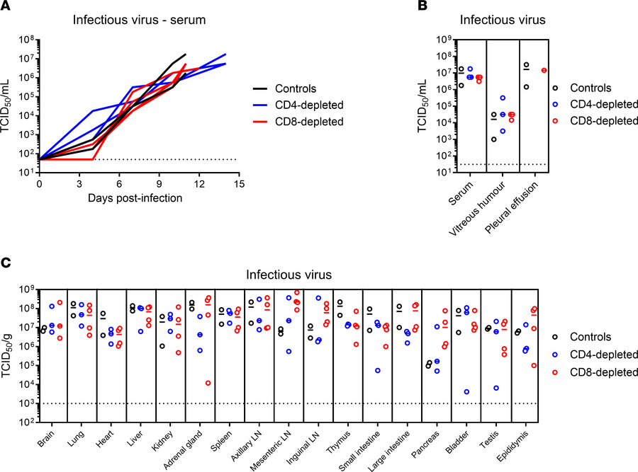 Viral burden in T cell–depleted LASV-infected cynomolgus macaques.
(A) S...