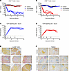 T cell depletion efficiency in cynomolgus macaques.