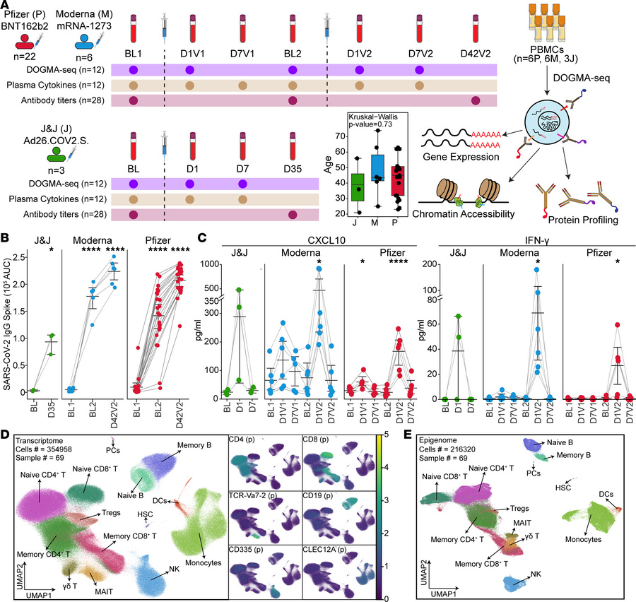 A longitudinal systems immunology study of immune responses to COVID-19 ...
