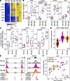 ISGF3 transcription factor complex activity increases in ISG-dim subset.