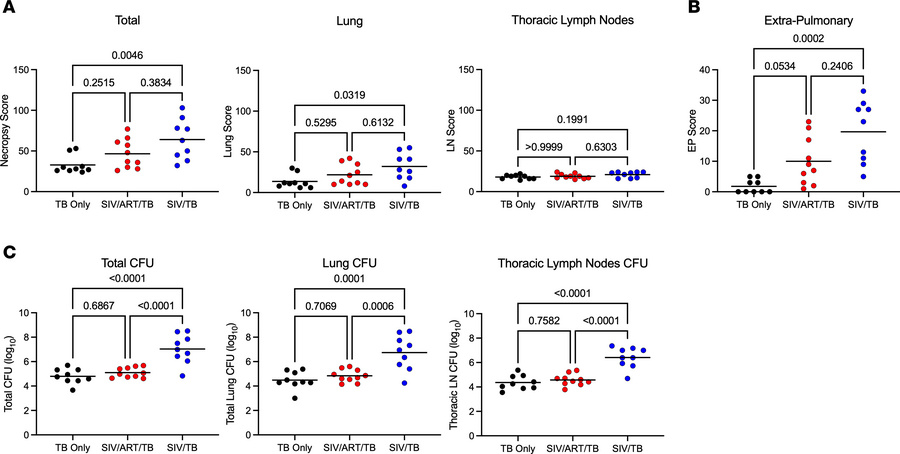 Gross pathology and Mtb burden at necropsy.
(A) Tuberculosis-associated ...