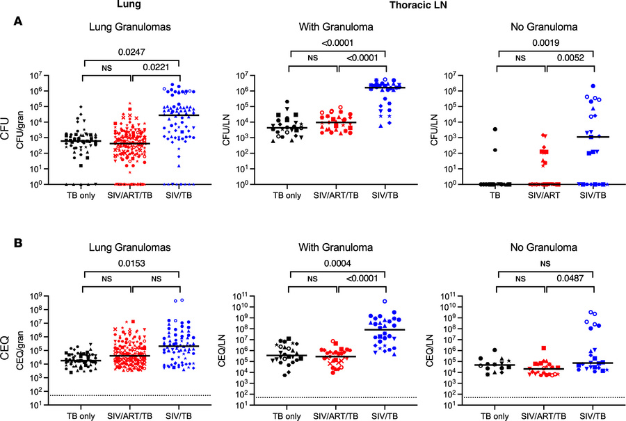 Comparison of viable and total (viable and killed) Mtb per granuloma by ...