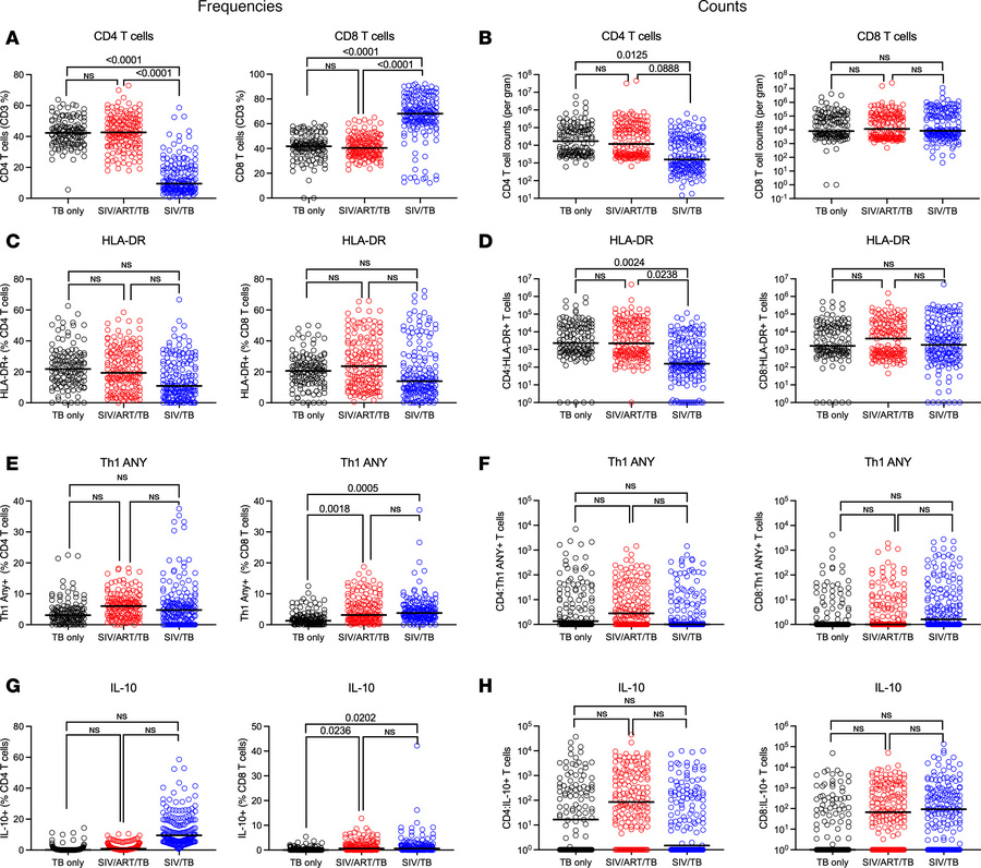 Immunophenotyping of granulomas by experimental group.
(A and B) Frequen...