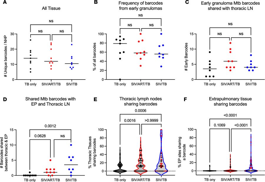 Quantification of barcodes.
(A) Number unique barcodes in each animal (f...