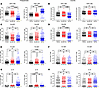 Immunophenotyping of granulomas by experimental group.