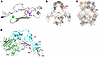 Structural modeling suggests that steric clashes would inhibit LRP2 p.C1401
