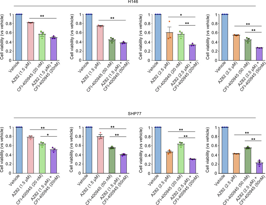 Cooperative growth-inhibitory effects of combined KIFC1 inhibition and P...