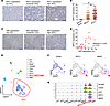 IHC analysis of KIFC1 protein expression in SCLC clinical samples using an