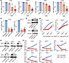 Antiproliferative effects of KIFC1 inhibition in SCLC cells.