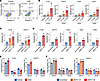 Apoptosis induction and cell cycle arrest in SCLC cells following KIFC1 inh