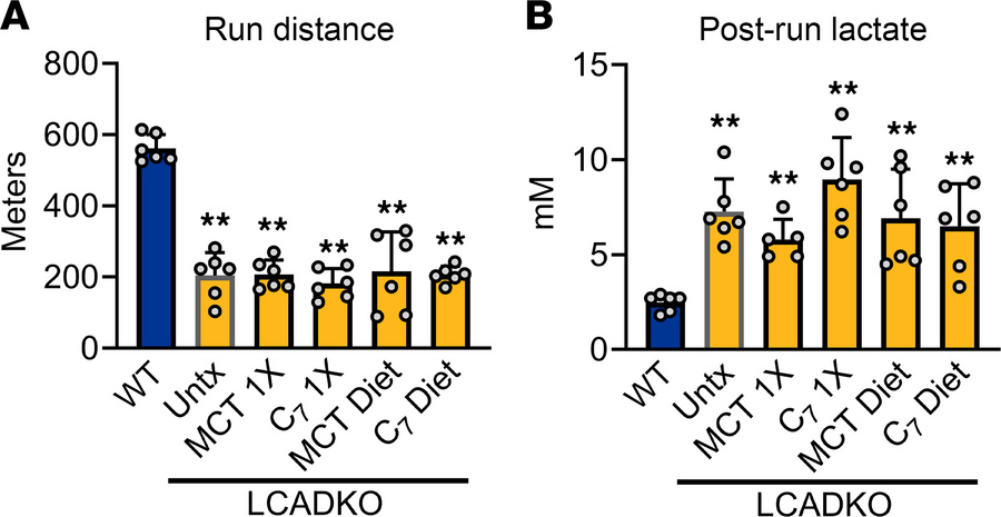Medium-chain triglycerides fail to improve exercise capacity in an LC-FA...