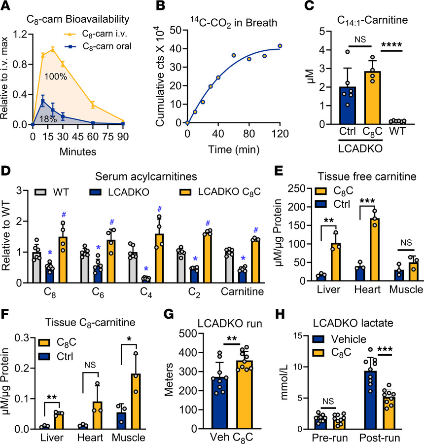 Oral C8-carnitine is rapidly absorbed, distributes to target organs, and...