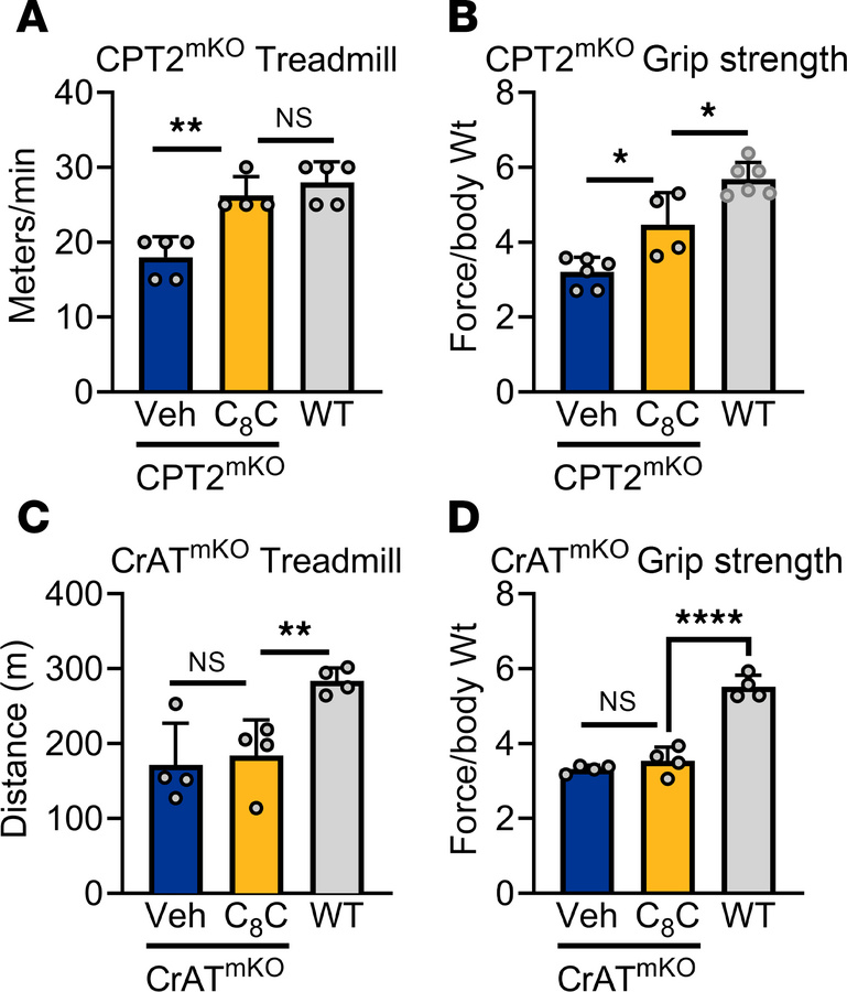 Oral C8-carnitine improves muscle symptoms in CPT2-deficient but not CrA...