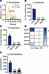Exogenous medium-chain fatty acids are poorly metabolized outside of liver.