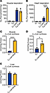 Heart and muscle mitochondria prefer medium-chain acylcarnitines over mediu