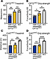 Oral C8-carnitine improves muscle symptoms in CPT2-deficient but not CrAT-d