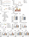 Alanine deficiency reprograms myofibroblast metabolism.