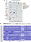 Genetic changes in B-ALL blasts from Cd72+/–;Pax5+/– mice.