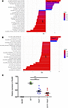 Pathways transcriptionally enriched in preleukemic CD72+/–;Pax5+/– and Pax5