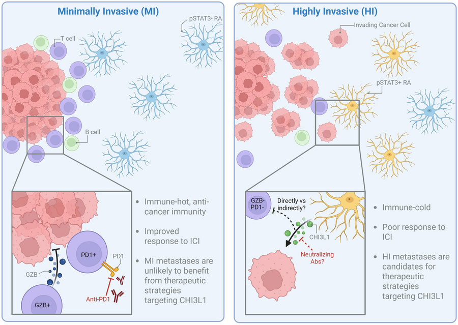 graphical abstract
