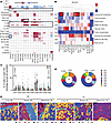 Spatial profiling reveals immune cell localization to the brain-tumor inter
