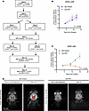 Genetic loss of Chi3l1 improves response to anti–PD-1 therapy.