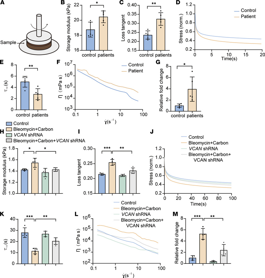 Loss of versican reduced viscoelasticity of fibrotic pleura.
(A) Schemat...
