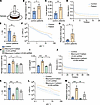 Loss of versican reduced viscoelasticity of fibrotic pleura.