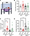 Voiding behavior of transgenic SK2 mice.