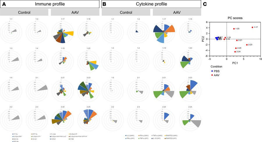 Diversity in immune responses is noticed in syngeneic mice 21 days after...