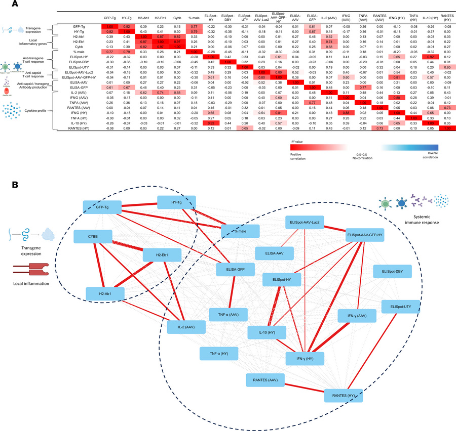 Immune parameters show no correlation in syngeneic mice 21 days after AA...