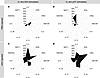 Global view of the systemic proinflammatory cytokine profile in mice 21 day