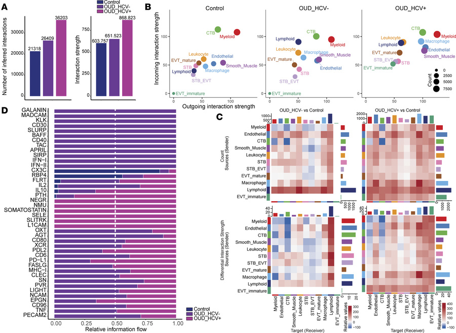 Maternal OUD±HCV affects communication networks in the placenta.
(A) Bar...