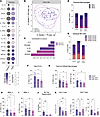Decidual immune cell phenotype and function are altered by maternal OUD±HCV