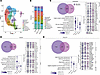 Maternal OUD±HCV alters the placental transcriptional profile on a spatial