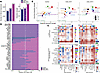 Maternal OUD±HCV affects communication networks in the placenta.