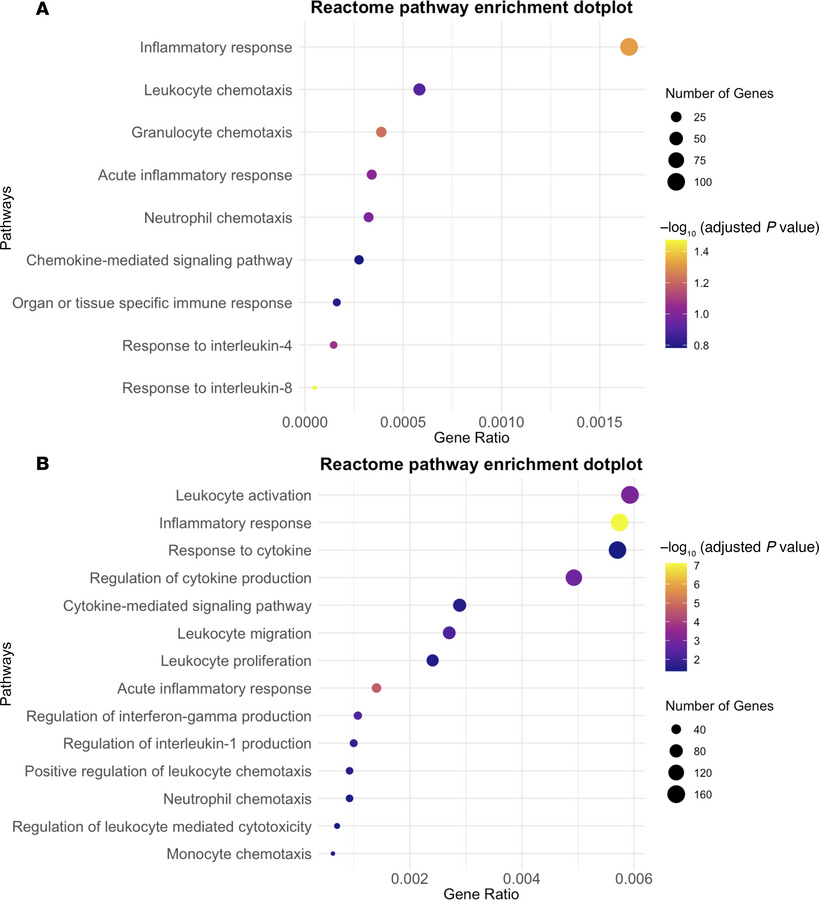 Inflammation is increased in diabetes-associated heart failure (HF).
(A ...