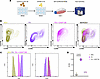 CAST overexpression (OE) in neonatal rat cardiomyocytes (NRCMs) reverses fa