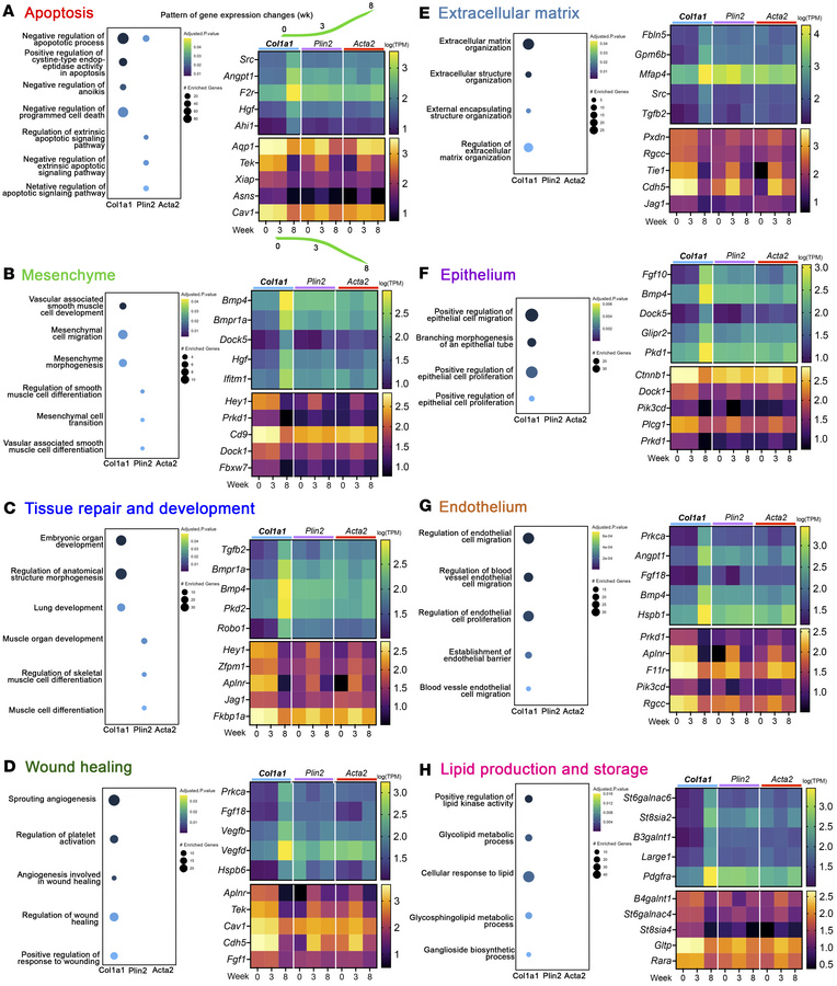 Resolution-associated transcriptional profile genes are selectively enri...