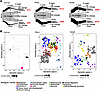 Fibrosis-associated genes and biological pathways are enriched in the Plin2